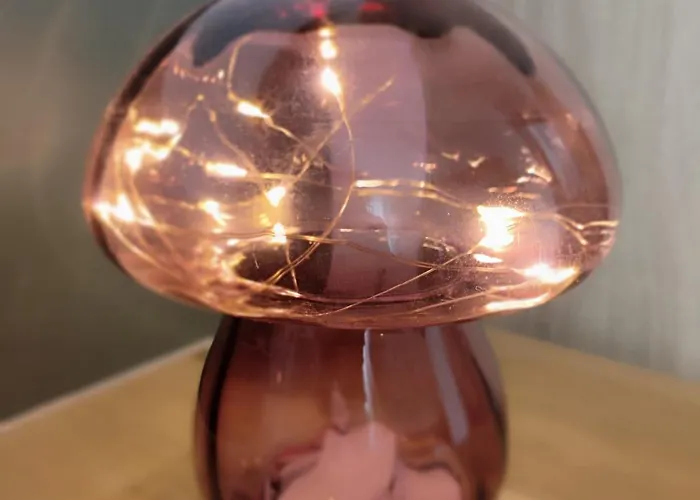 Dousserenca Gasthuis 3*